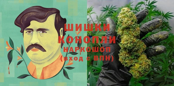 ECSTASY Ветлуга